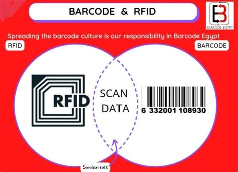 موقع rfid مصر